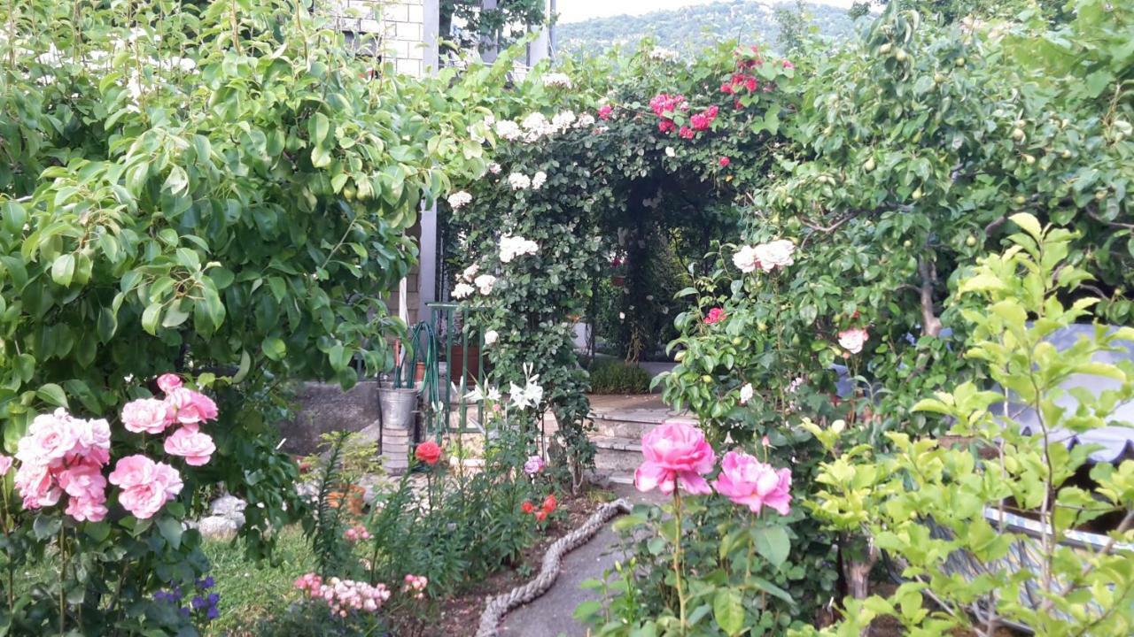 Apartments Frkovic Ledenice Dış mekan fotoğraf