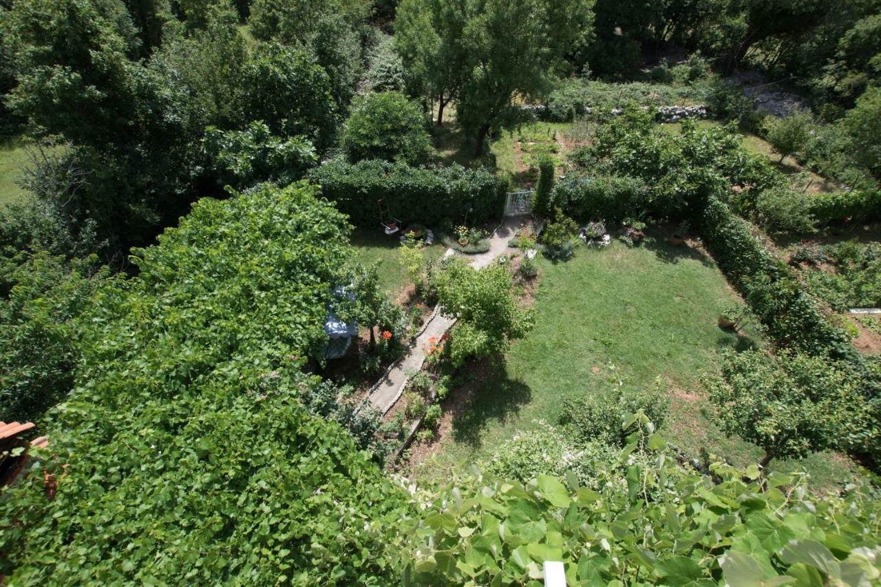 Apartments Frkovic Ledenice Dış mekan fotoğraf