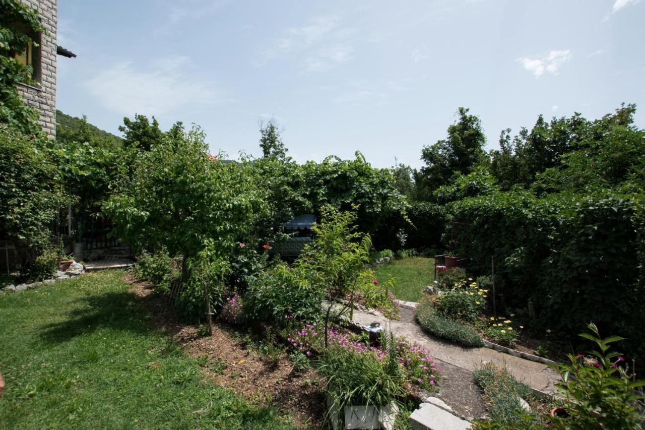 Apartments Frkovic Ledenice Dış mekan fotoğraf
